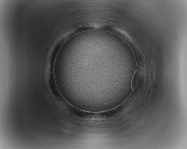 X0000088160736200705291911