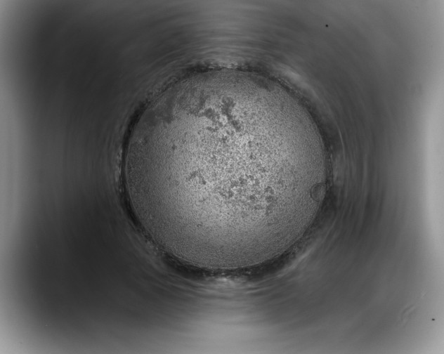 X0000088160737200705291911