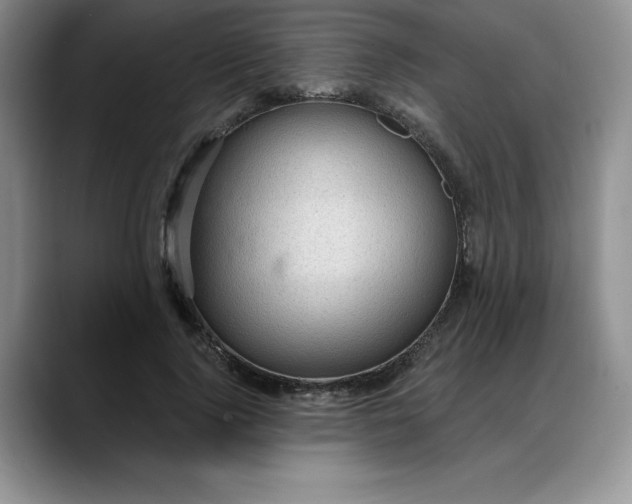 X0000088160740200705291911