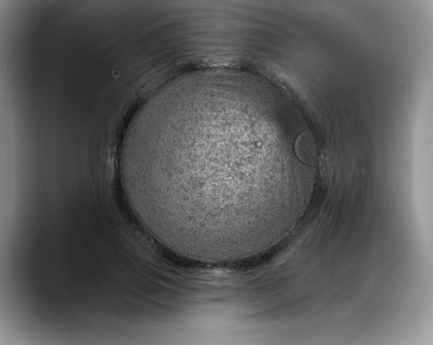 X0000088160741200705291911