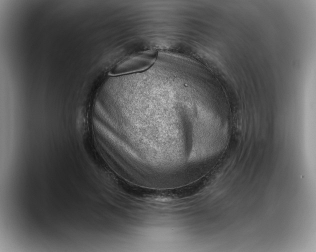X0000088160743200705291911