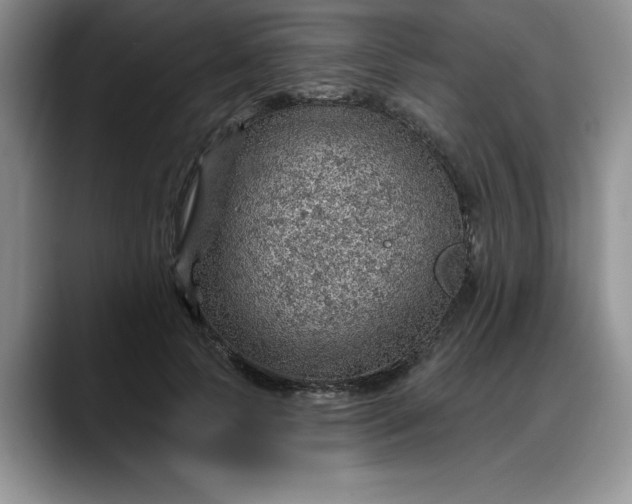 X0000088160745200705291911