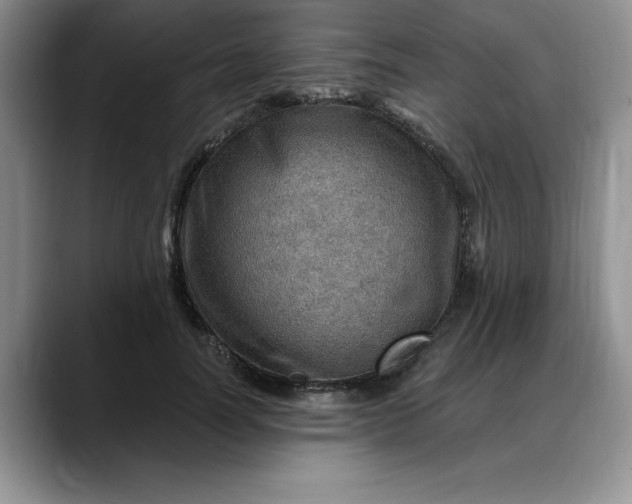 X0000088160746200705291911