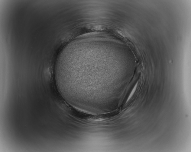 X0000088160747200705291911