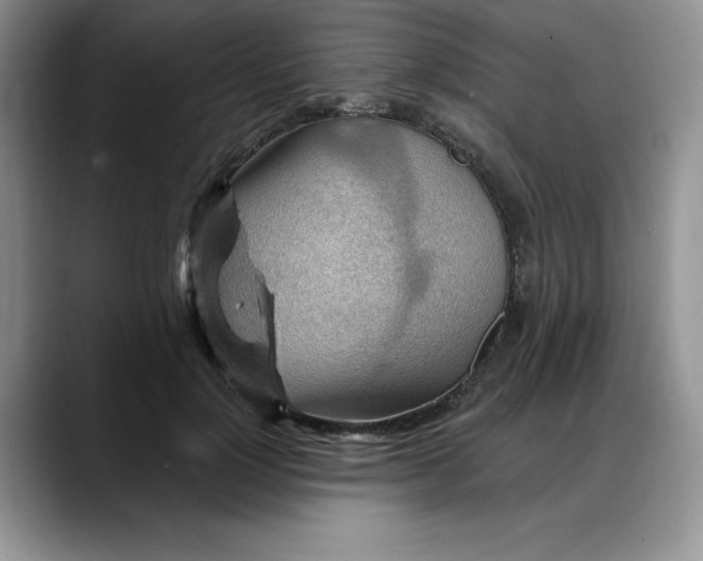 X0000088160748200705291911