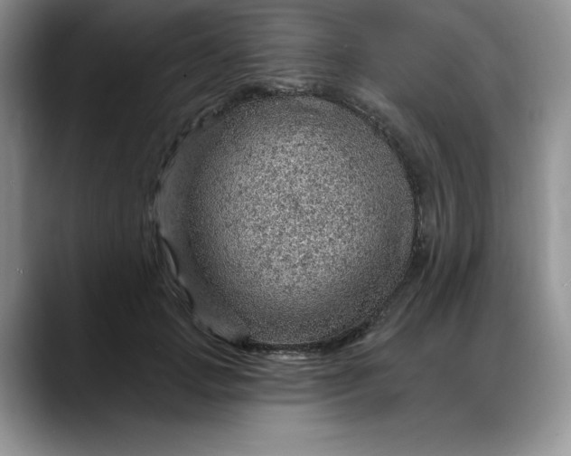 X0000088160749200705291911