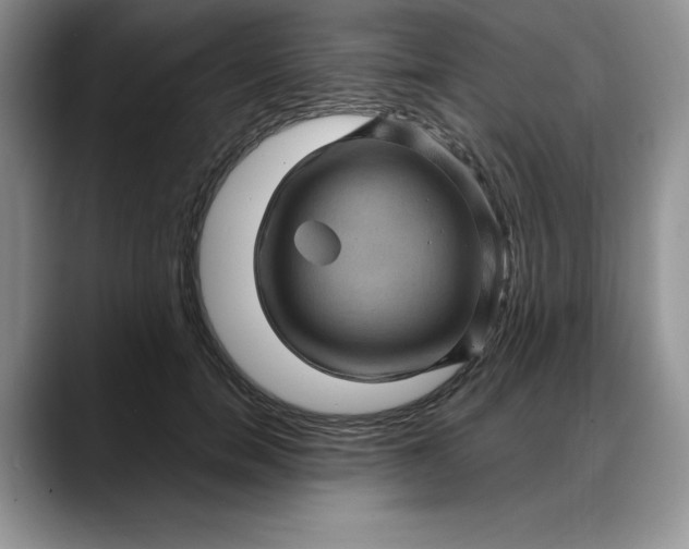 X0000088160750200705291911
