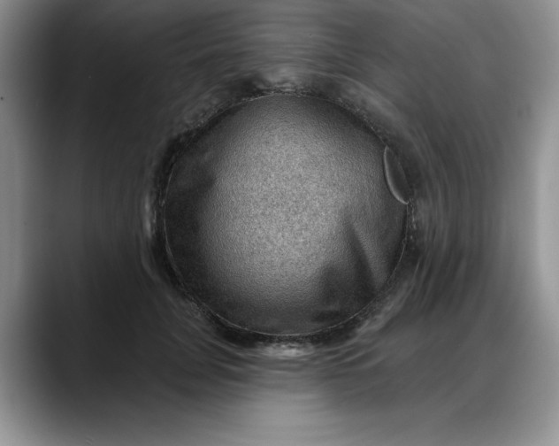 X0000088160751200705291911