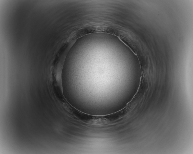 X0000088160752200705291911