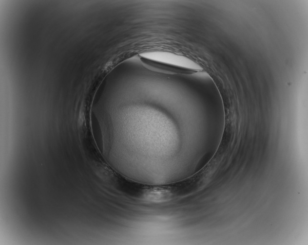 X0000088160754200705291911