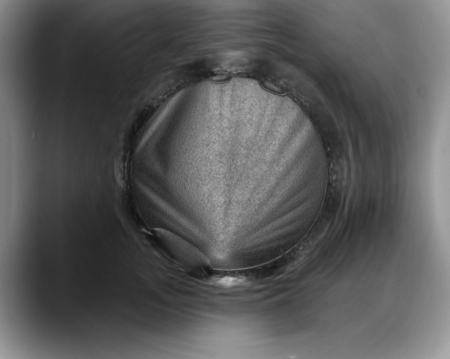 X0000088160755200705291911