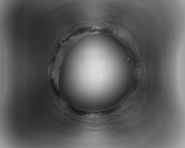 X0000088160756200705291911