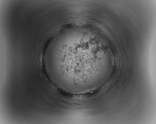 X0000088160757200705291911