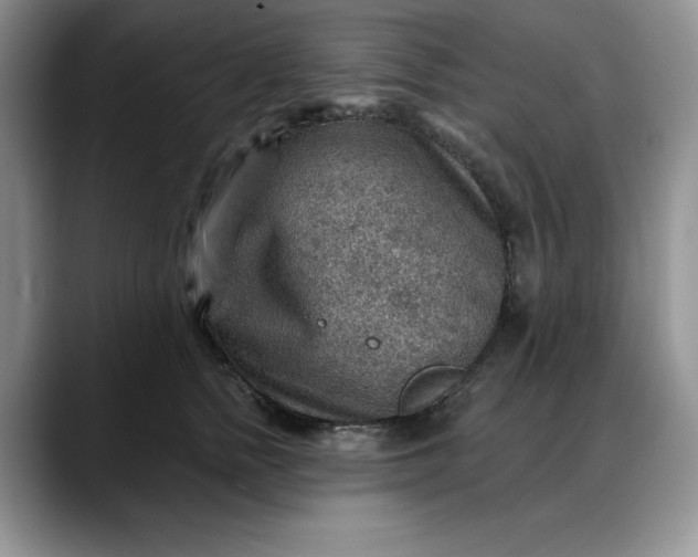 X0000088160758200705291911