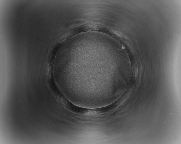 X0000088160759200705291911