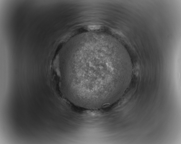X0000088160763200705291911