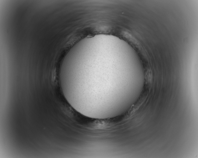 X0000088160764200705291911