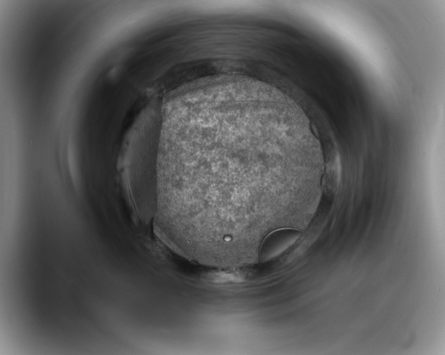 X0000088160765200705291911