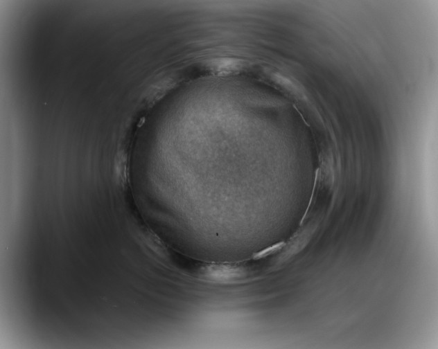 X0000088160766200705291911