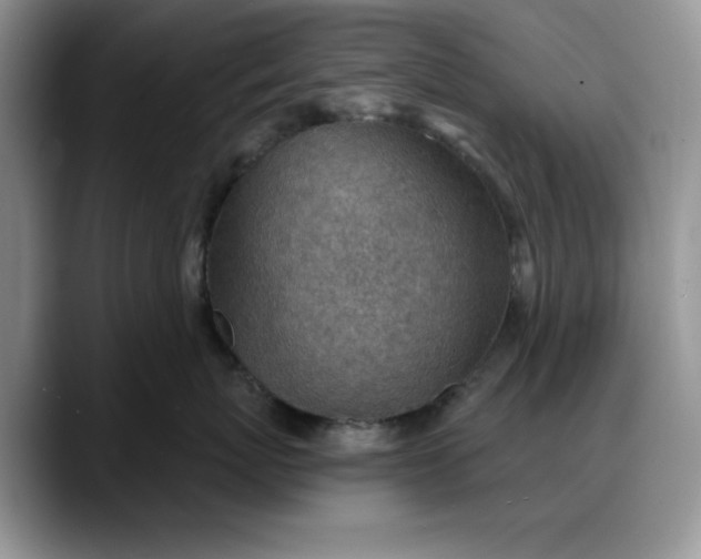 X0000088160767200705291911