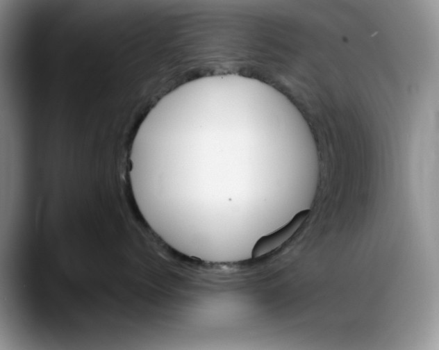 X0000088160768200705291911