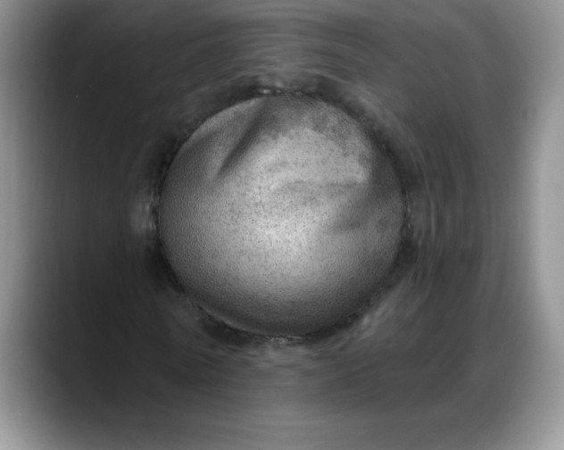 X0000088160770200705291911