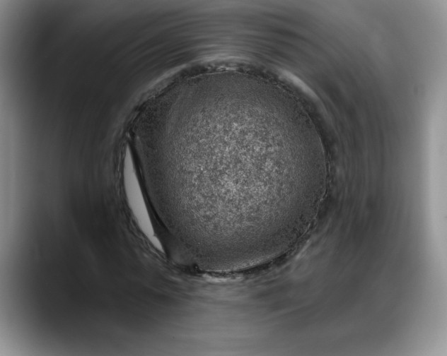 X0000088160775200705291911