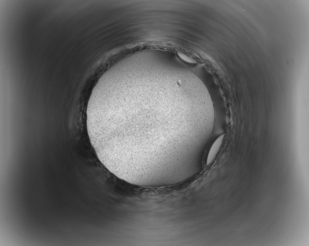 X0000088160776200705291911