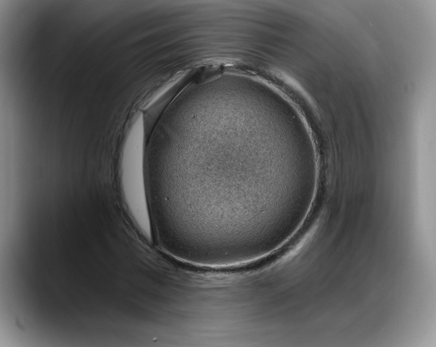 X0000088160777200705291911