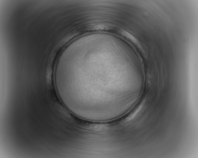 X0000088160778200705291911