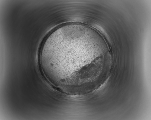 X0000088160780200705291910