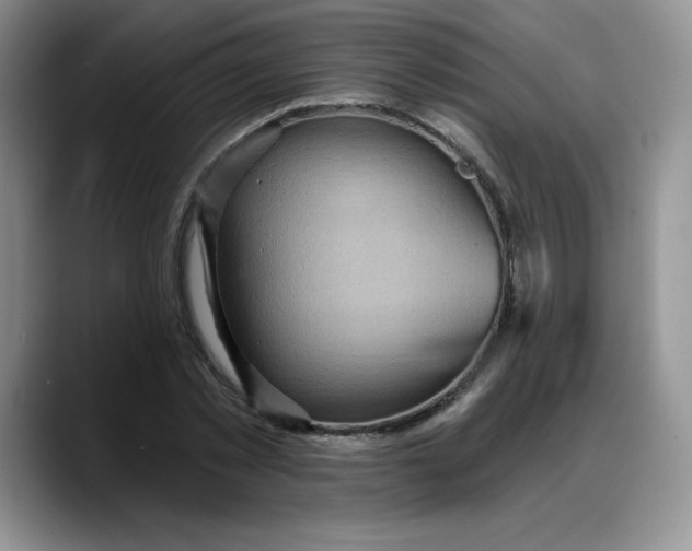 X0000088160781200705291910