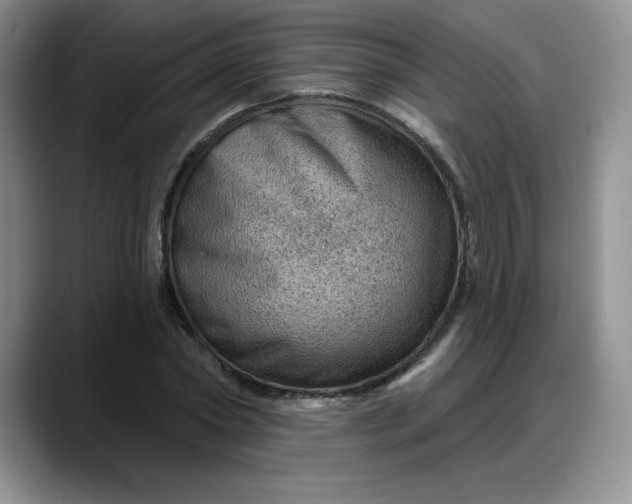 X0000088160782200705291910