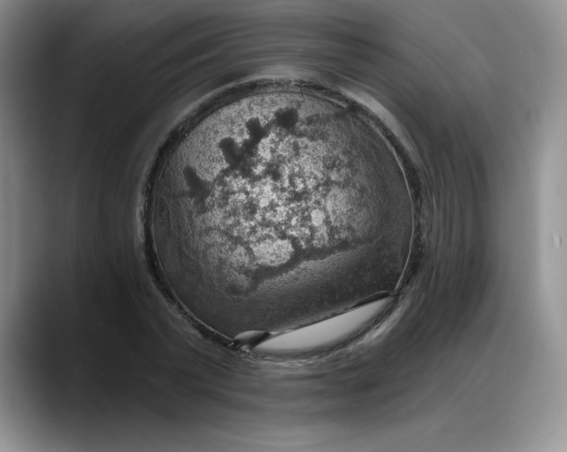 X0000088160783200705291910
