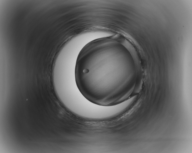 X0000088160785200705291910