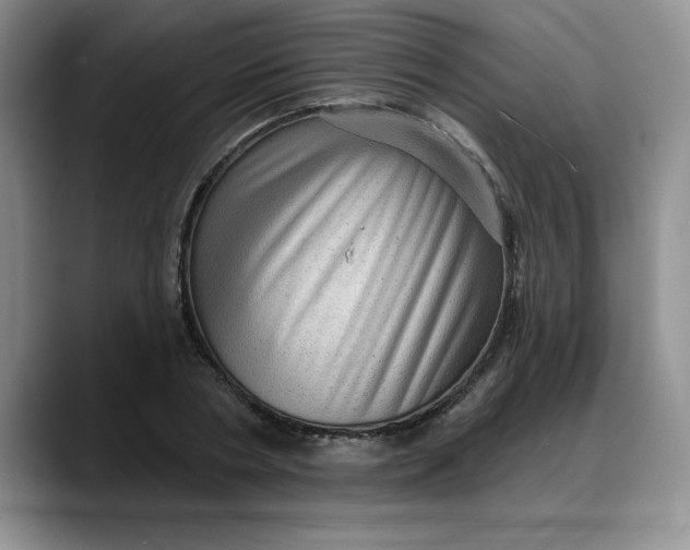 X0000088160786200705291910