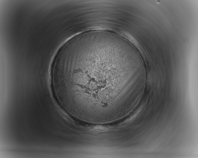 X0000088160787200705291910