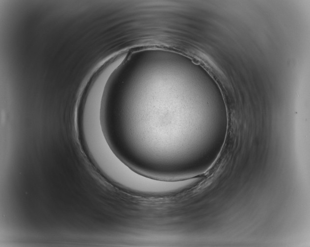 X0000088160788200705291910