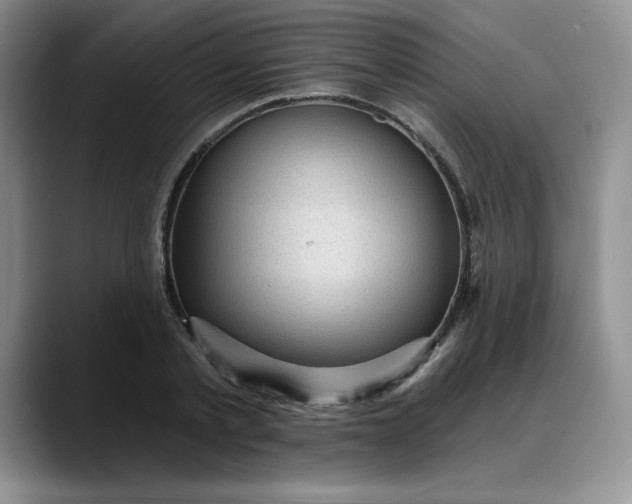 X0000088160789200705291910