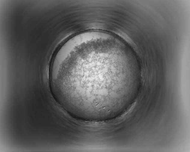 X0000088160790200705291910