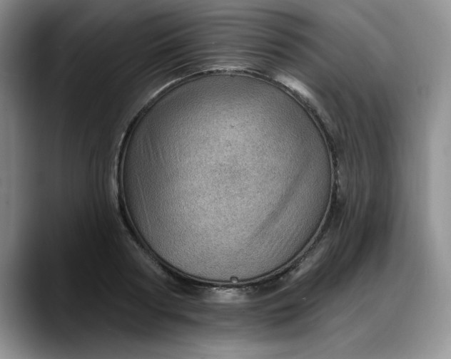 X0000088160794200705291910