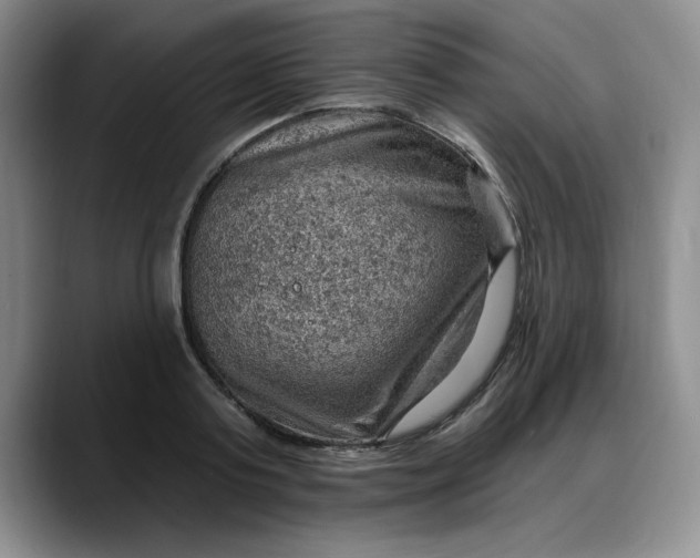 X0000088160795200705291910