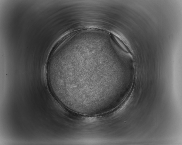 X0000088160798200705291910