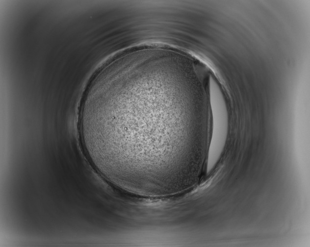 X0000088160799200705291910