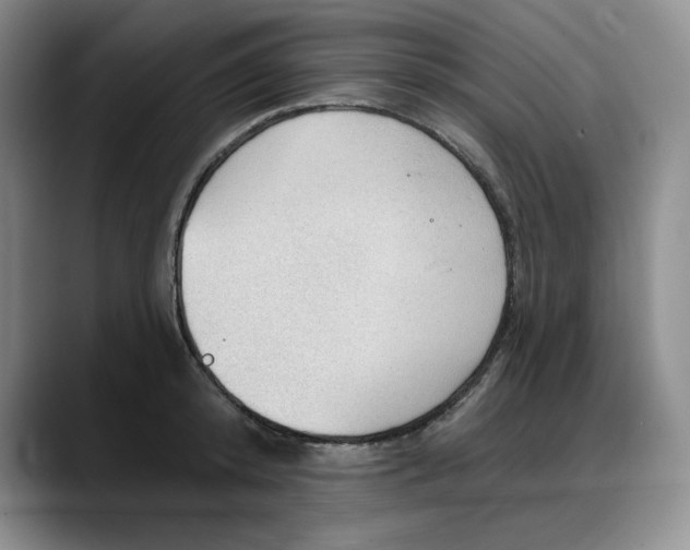 X0000088160800200705291910