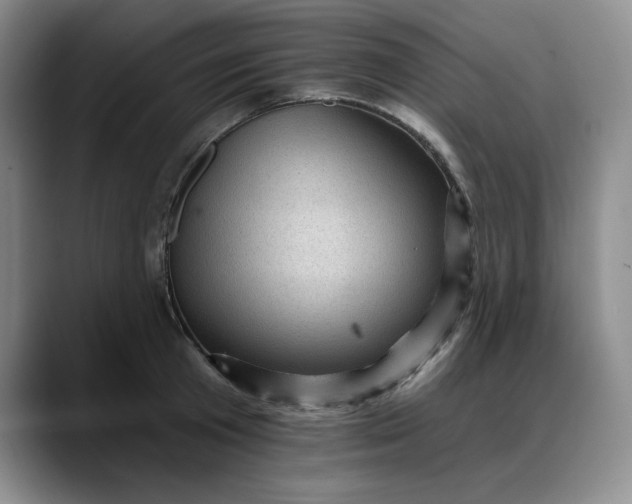 X0000088160801200705291910