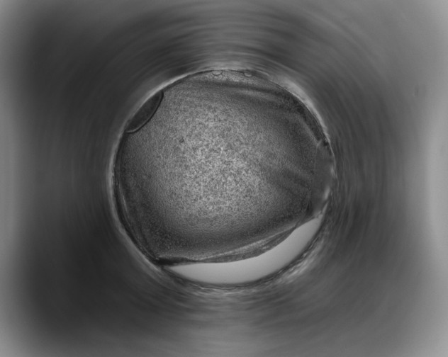 X0000088160803200705291910