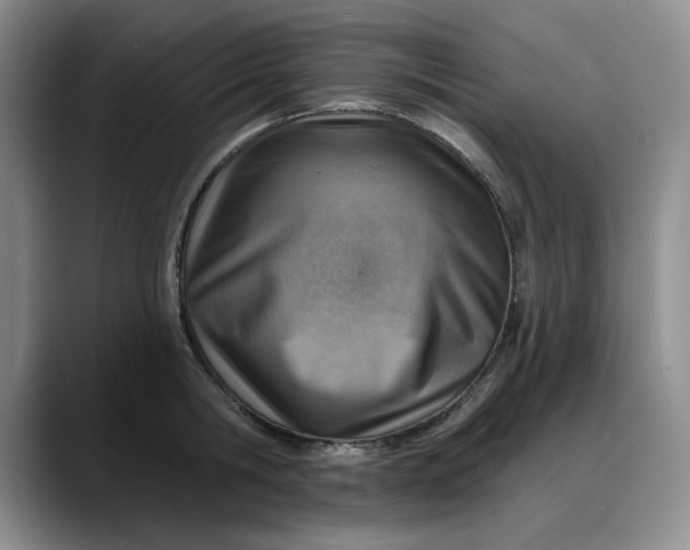 X0000088160806200705291910