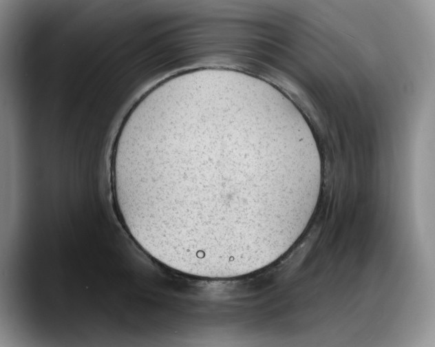 X0000088160808200705291910
