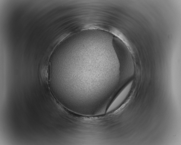 X0000088160809200705291910